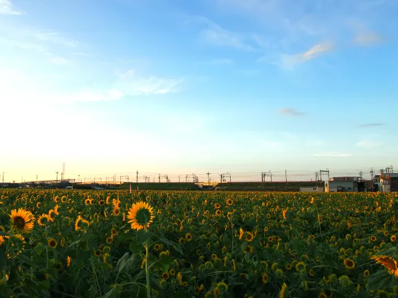 Nakayamakami Daini Park 주변 호텔