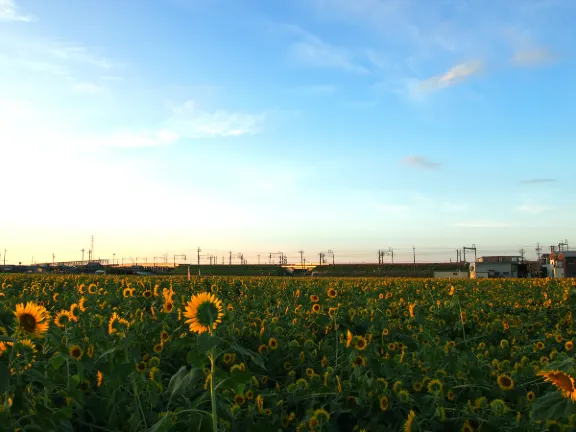 Funairi Park 주변 호텔