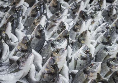 Easwary Seafood (PVT) LTD