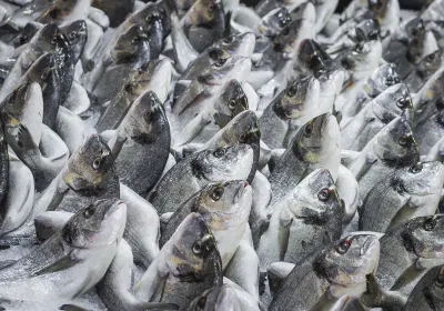 Easwary Seafood (PVT) LTD