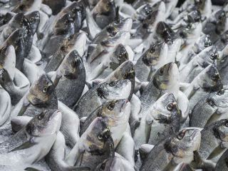 プーケット旅行