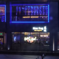 Blue Frog (Aqua City) User Photo