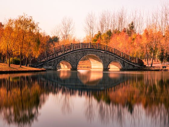Pudong Jinhai Wetland Park