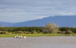 Camargue Regional Nature Park