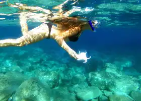 仙本那藍海潛水