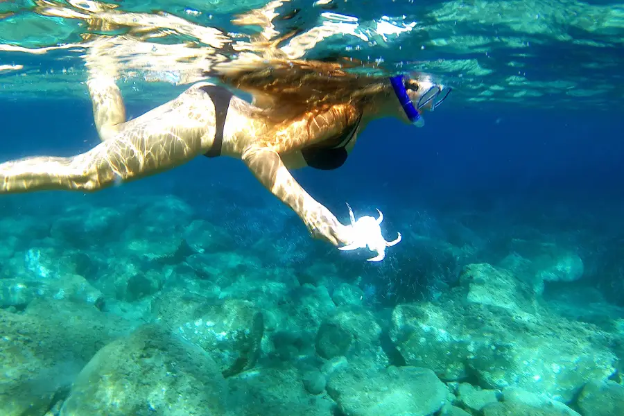 Blue Ocean Scuba Diving