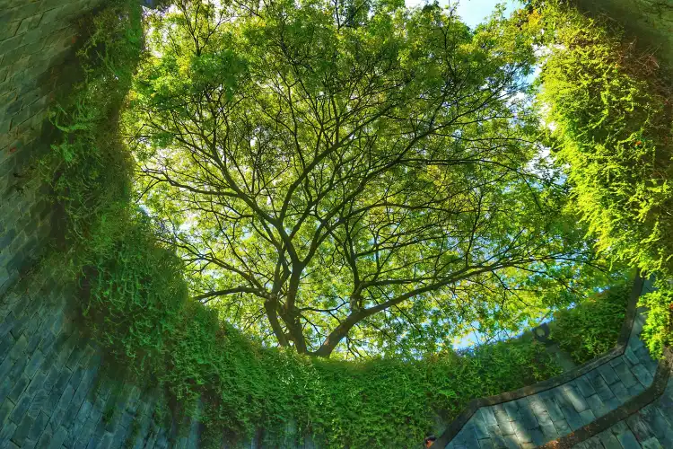 Hotels near Fort Canning Park