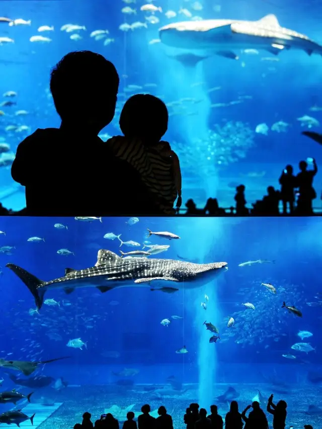 沖繩5日親子自由行懶人包，美麗藍色玻璃海