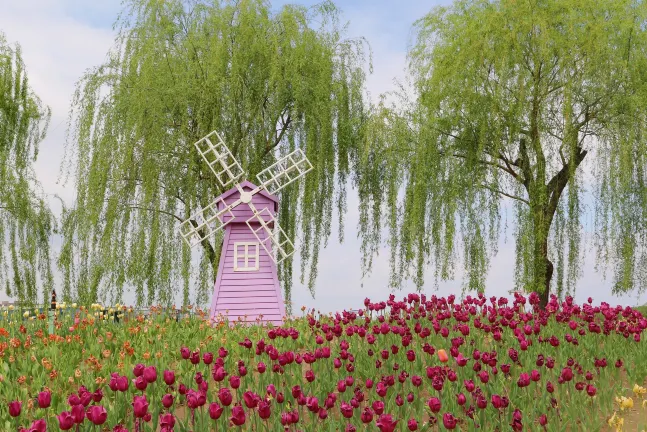 Отзывы об отеле Seven-cultivation Hotel