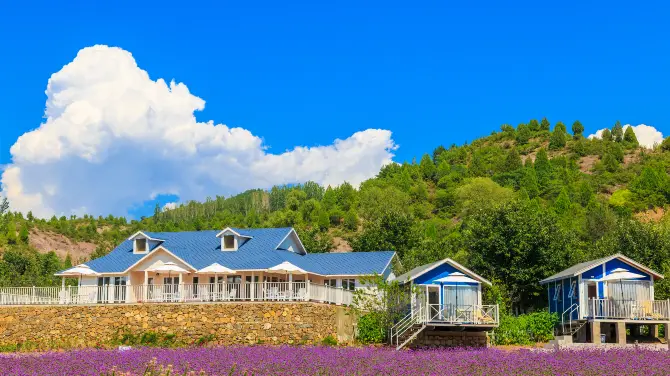 Zihaixiangdi Vanilla Art Manor