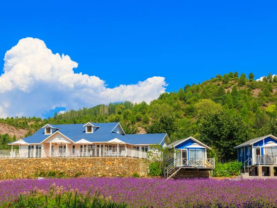 北京紫海香堤香草芸術荘園