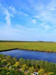 Nandagang Wetland