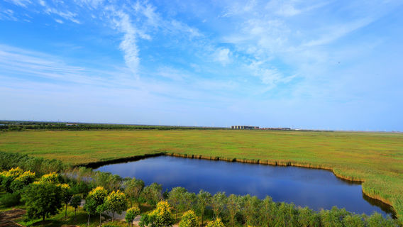 Nandagang Wetland
