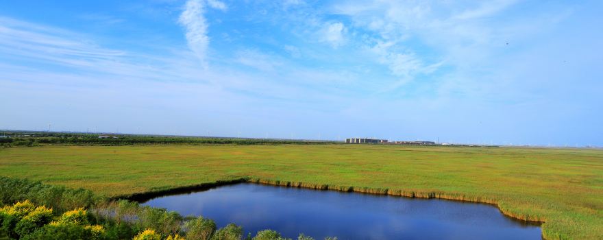 Nandagang Wetland