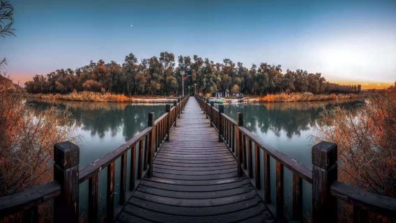Kazuo Wetland