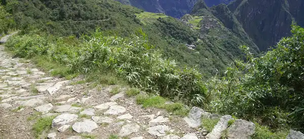 Hotels in Machu Picchu
