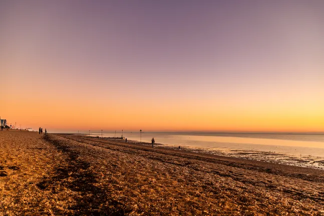 Hotel Boleh Membawa Hewan Peliharaan di Southend-on-Sea