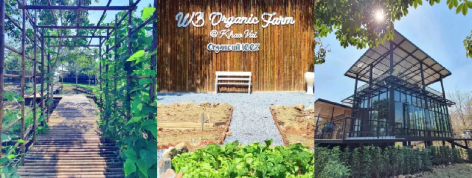 จัดให้! 5 คาเฟ่สุดชิลในโคราช 2569