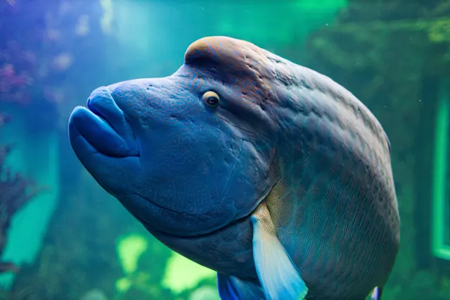 12 Great Things to Do in Miami