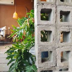 Tea & Company 여행 사진