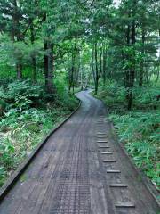 Goshikigahara Forest Tour & Info Center