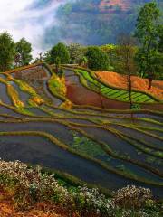 Lvchun Hani Terraces