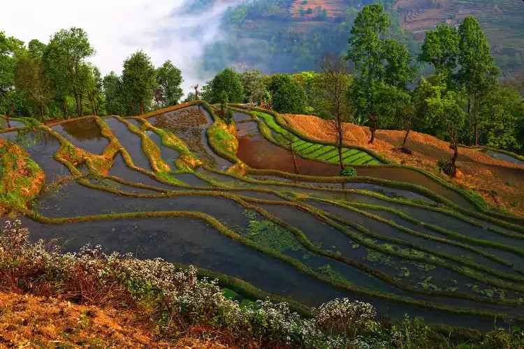 Hotels in Lüchun County