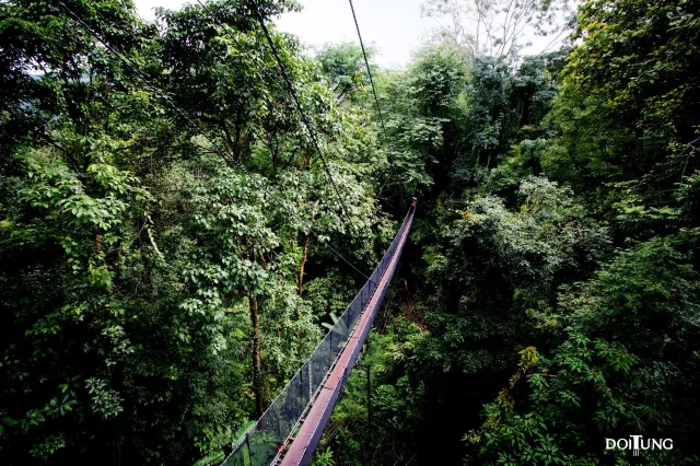 รวมที่เที่ยวช่วงปีใหม่ 2568 สุดเสียว (ไส้) ทั่วไทย