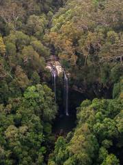 Springbrook-Nationalpark