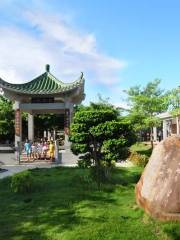 Qingduan Garden