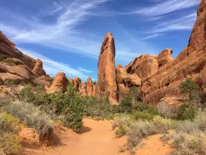 Devil's Garden