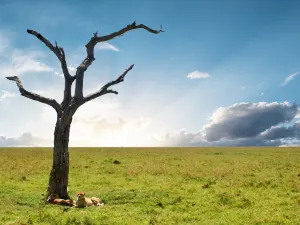 Parco nazionale di Arusha