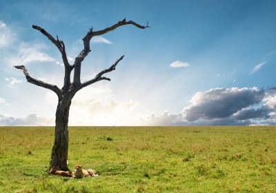 Arusha National Park