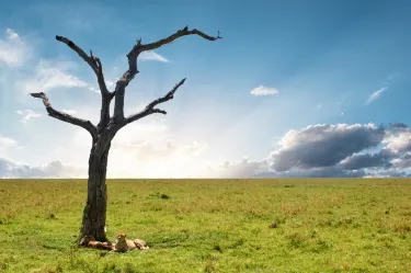 Parco nazionale di Arusha