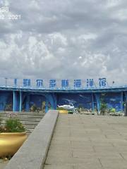 Ordos Aquarium