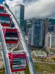 Hong Kong Observation Wheel