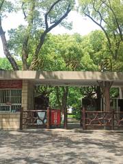 Yichang Ertong Gong Zoo