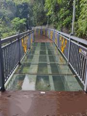 Glass Bridge, Baiyun Mountain Acenic Area