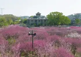 Changsha (Beishan) Botanical Garden