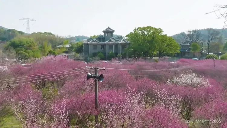 Changsha (Beishan) Botanical Garden