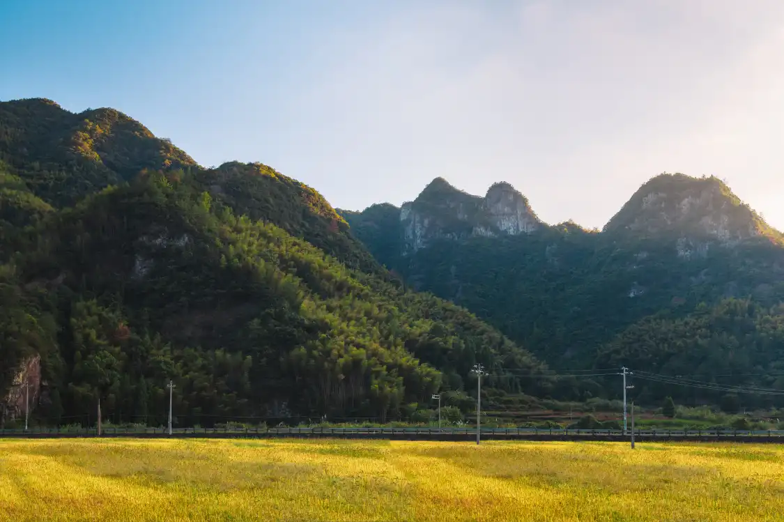Hotels near Danzhuxiang