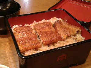 Honke Shibato