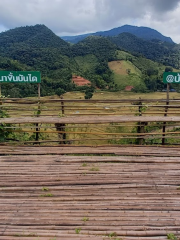 จุดชมวิวนาขั้นบันได อ.บ่อเกลือ (Terrace Viewpoint, Bo Kluea District)