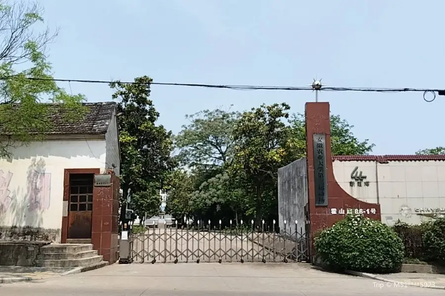 Anhui Agricultural University No.3 Athletic Field