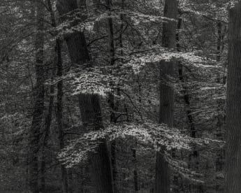 Jeffrey Conley: An Ode to Nature | Santa Monica