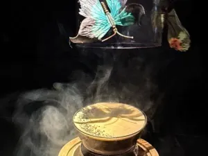 Ambrosia-瀾