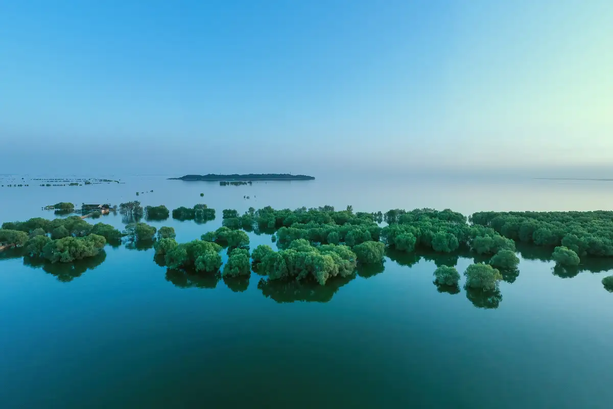 DONGTINGHU