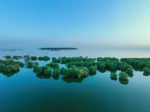 Dongting Lake Tourism and Resorts Zone