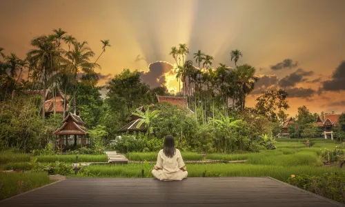 Chiang Mai Meditation