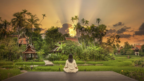 Chiang Mai Meditation